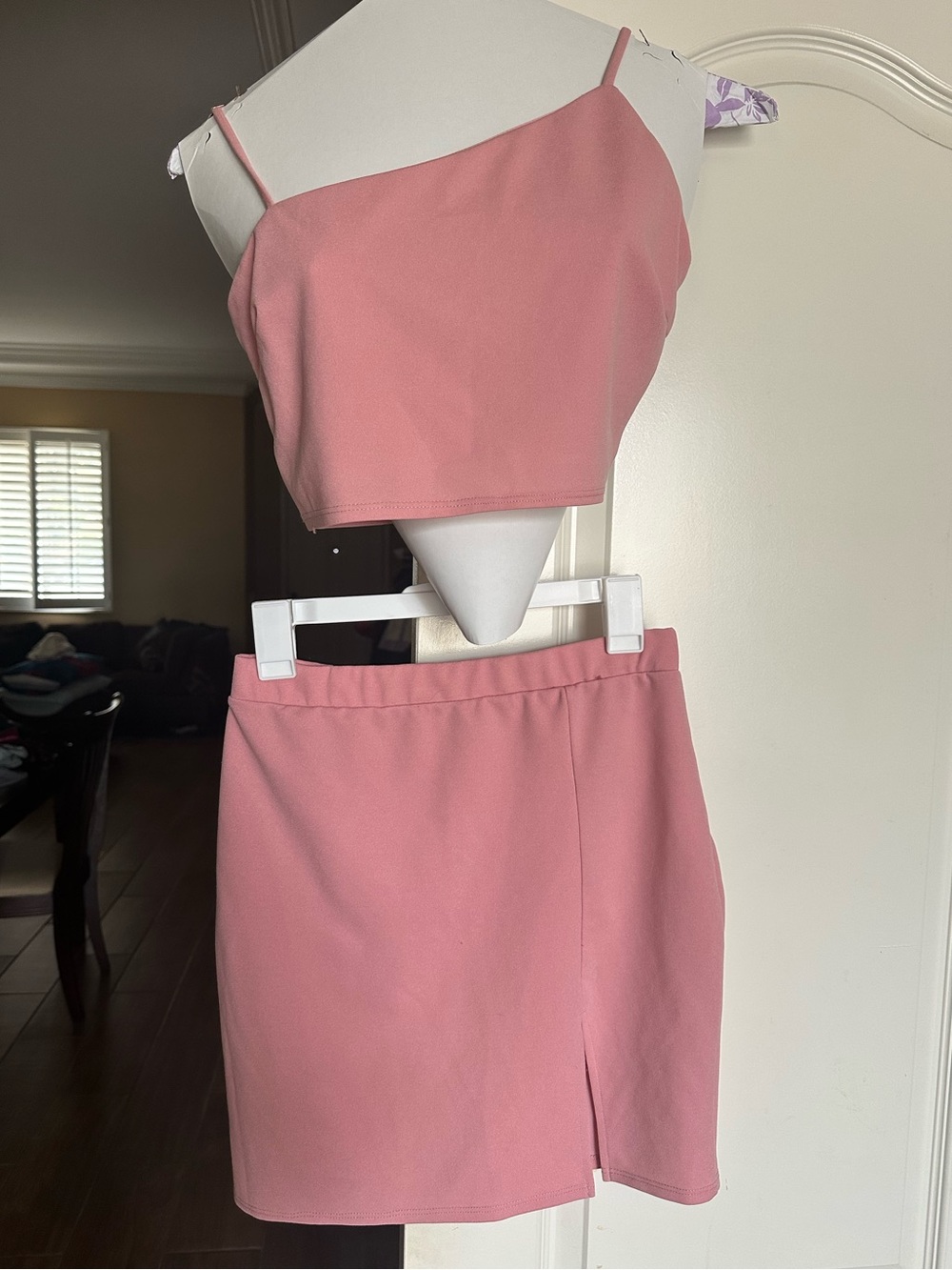 Fashion Nova Pink Crop Top and Skirt Set